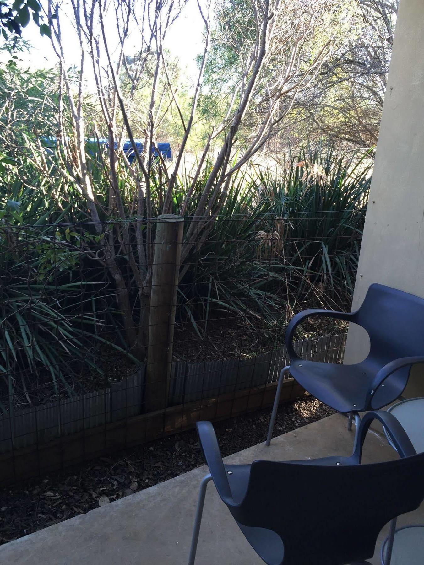 The Albion Motel Castlemaine Esterno foto